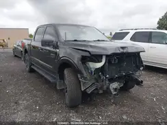 1FTFW1E51MKD27827 2021 FORD F-150