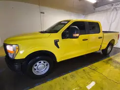1FTFW1E51MKD66319 2021 FORD F-150