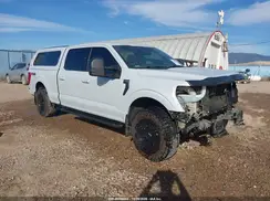 1FTFW1E51MKE02641 2021 FORD F-150