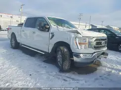1FTFW1E51NFB09624 2022 FORD F-150