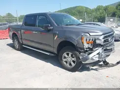 1FTFW1E51NKD54611 2022 FORD F-150