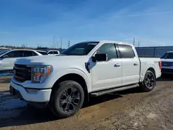 1FTFW1E51PFC26445 2023 FORD F-150