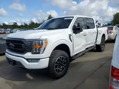 1FTFW1E51PKD40646 2023 FORD F-150