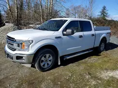 1FTFW1E52KKD99827 2019 FORD F-150