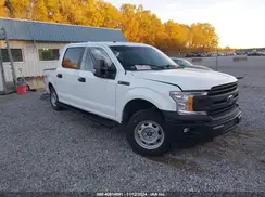 1FTFW1E52KKE41204 2019 FORD F-150