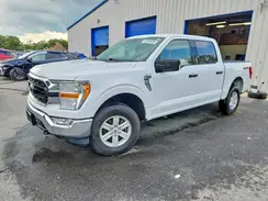 1FTFW1E52MFA71545 2021 FORD F-150