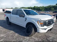 1FTFW1E52MFA98356 2021 FORD F-150