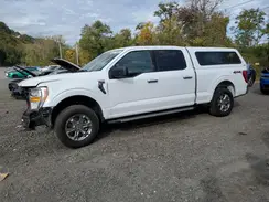 1FTFW1E52PFA37996 2023 FORD F-150