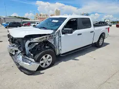 1FTFW1E52PFC35090 2023 FORD F-150