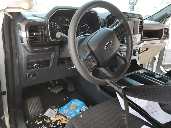 1FTFW1E52PKD29753 2023 FORD F-150 - Image 8