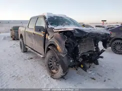1FTFW1E52PKF79249 2023 FORD F-150