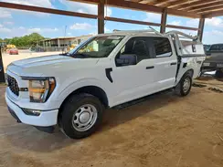 1FTFW1E52PKF99307 2023 FORD F-150