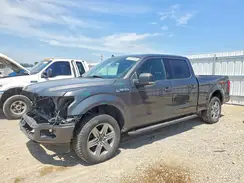 1FTFW1E53KKF02334 2019 FORD F-150