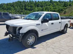 1FTFW1E53LFB37079 2020 FORD F-150