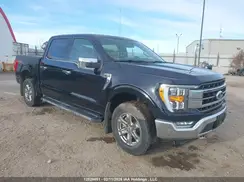 1FTFW1E53MFB39061 2021 FORD F-150