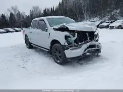 1FTFW1E53MKD75636 2021 FORD F-150