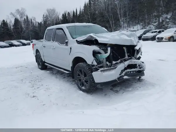 1FTFW1E53MKD75636 2021 FORD F-150 - Image 1
