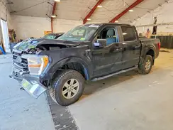 1FTFW1E53MKE30229 2021 FORD F-150
