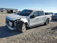 1FTFW1E53NFB64446 2022 FORD F-150