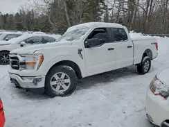1FTFW1E53NKE70358 2022 FORD F-150
