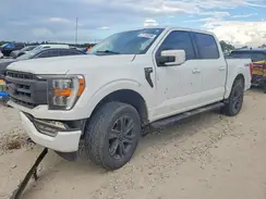 1FTFW1E53PFB07666 2023 FORD F-150