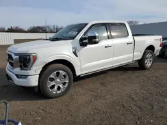 1FTFW1E53PFB56141 2023 FORD F-150