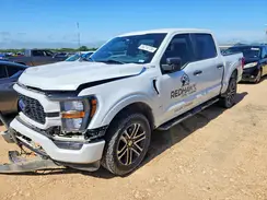 1FTFW1E53PFB67169 2023 FORD F-150