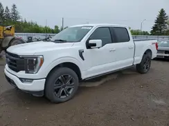 1FTFW1E53PFC72374 2023 FORD F-150