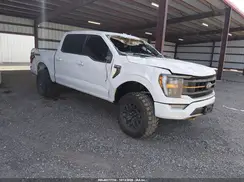 1FTFW1E53PFD04983 2023 FORD F-150