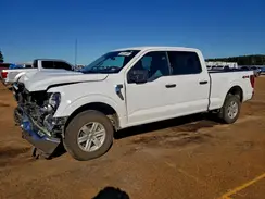 1FTFW1E53PKD36890 2023 FORD F-150