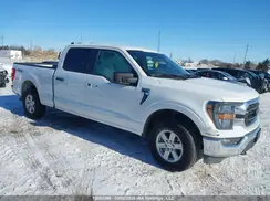 1FTFW1E53PKD75950 2023 FORD F-150