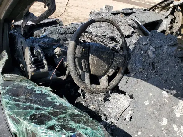 1FTFW1E54KFB36764 2019 FORD F-150 - Image 8
