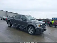 1FTFW1E54KKD19833 2019 FORD F-150