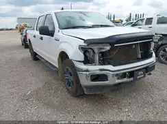 1FTFW1E54LKD69861 2020 FORD F-150