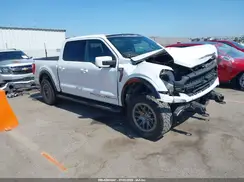 1FTFW1E54MFC15239 2021 FORD F-150