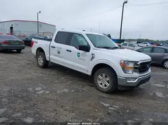 1FTFW1E54MKD60868 2021 FORD F-150