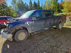 1FTFW1E54MKE27551 2021 FORD F-150