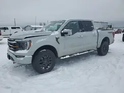 1FTFW1E54PFB13931 2023 FORD F-150