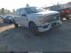 1FTFW1E54PFB33502 2023 FORD F-150