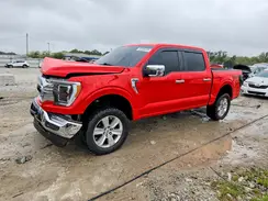 1FTFW1E54PKD46554 2023 FORD F-150