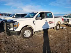 1FTFW1E54PKE09961 2023 FORD F-150