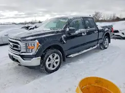1FTFW1E54PKF56216 2023 FORD F-150