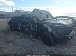 1FTFW1E55KFA99062 2019 FORD F-150