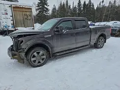 1FTFW1E55KFB72172 2019 FORD F-150