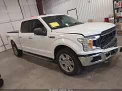 1FTFW1E55KKC02505 2019 FORD F-150