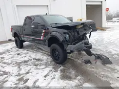 1FTFW1E55LFA86684 2020 FORD F-150