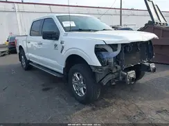 1FTFW1E55MFD09906 2021 FORD F-150