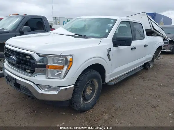 1FTFW1E55MKD49801 2021 FORD F-150 - Image 2