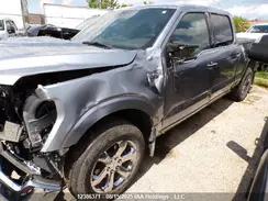1FTFW1E55PFB01528 2023 FORD F-150