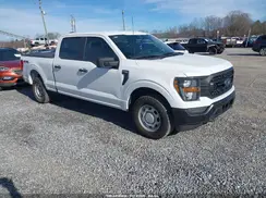 1FTFW1E55PKF36699 2023 FORD F-150